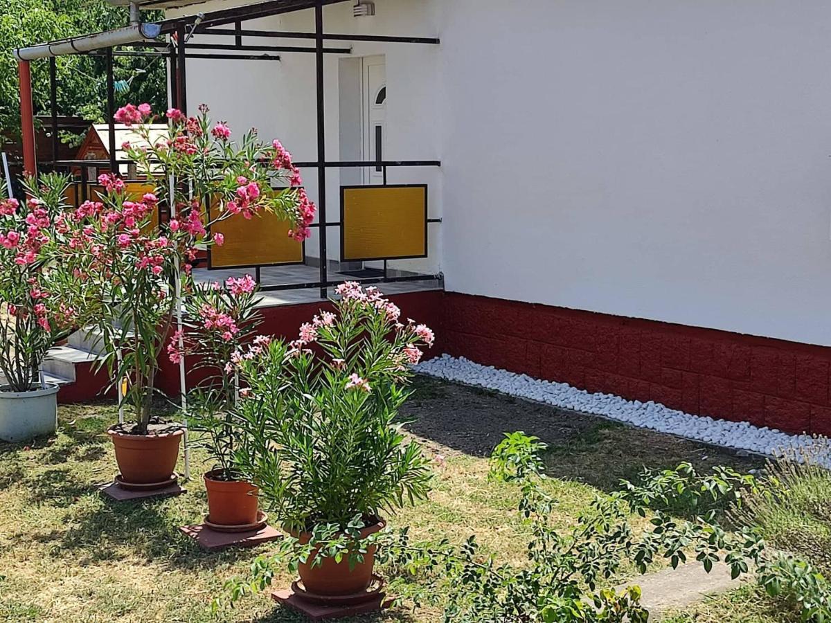 ホテル Rakos-Patak Family House ブダペスト エクステリア 写真