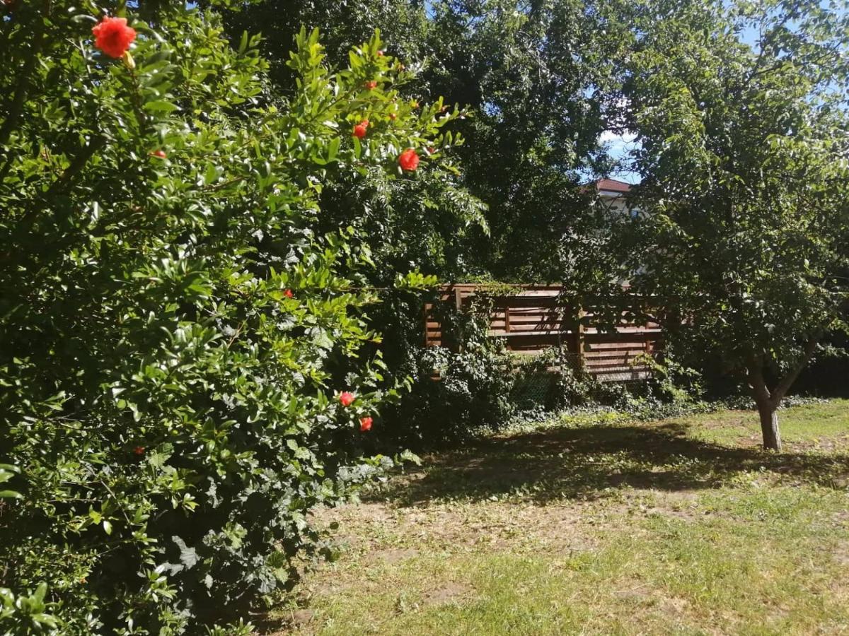 ホテル Rakos-Patak Family House ブダペスト エクステリア 写真